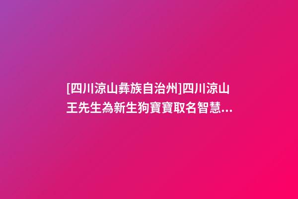 [四川涼山彝族自治州]四川涼山王先生為新生狗寶寶取名智慧型套餐-第1張-公司起名-玄機(jī)派